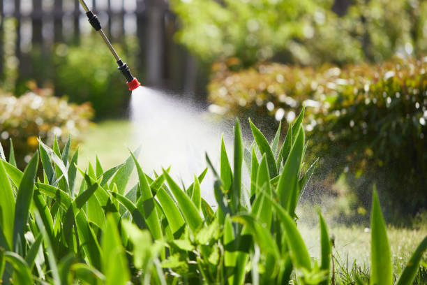 24/7 Emergency Cockroach Control experts in Burns, TN