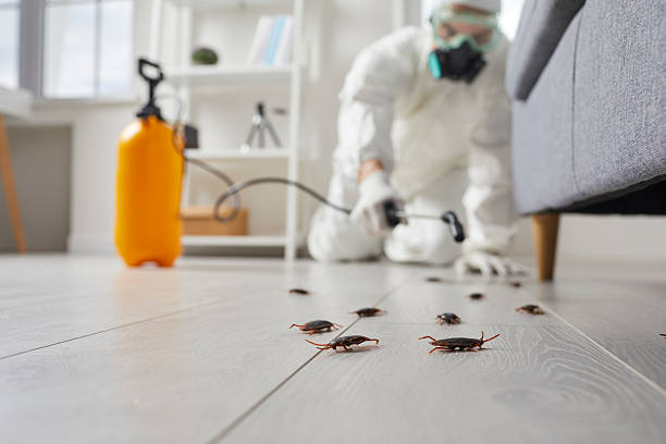Affordable Cockroach Control solutions in Burns, TN